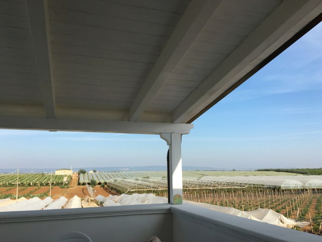 The view from the balcony of the Agriturismo Biologico Sant'Andrea in Puglia