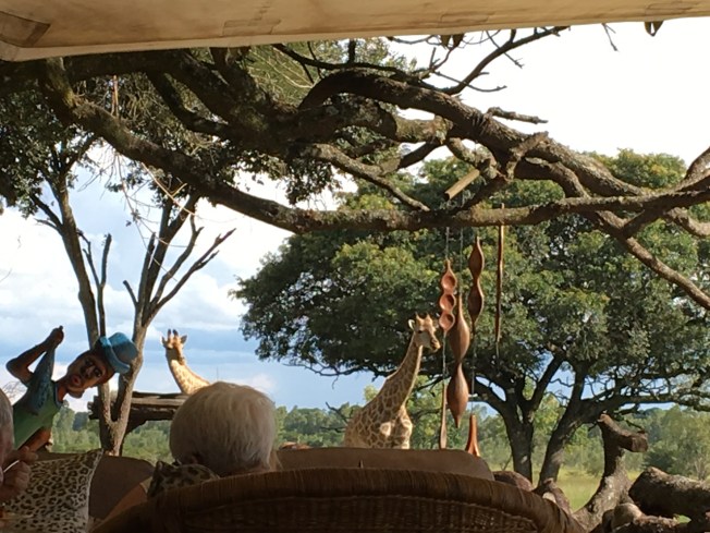 Wild is Life - the animal sanctuary outside Harare, in Zimbabwe