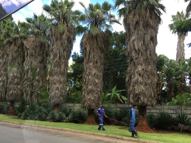 The airport road in Harare, Zimbabwe