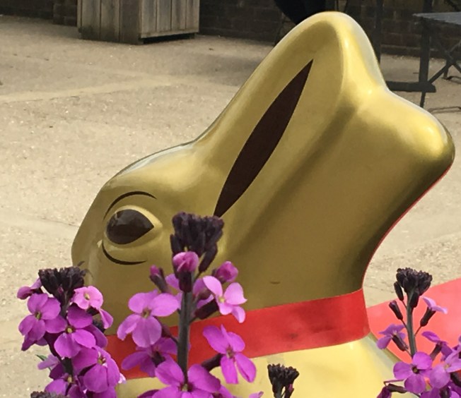 Wisley Gardens in England