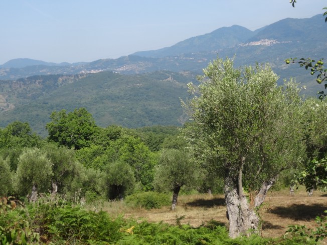 On the outskirts of Roccagloriosa in Cilento, Italy