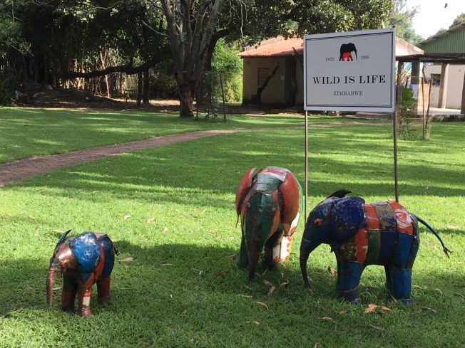 Wild is Life, the animal sanctuary outside Harare, in Zimbabwe