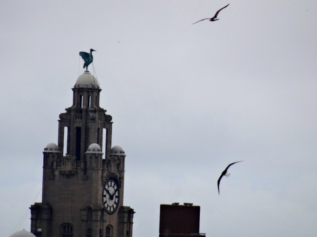 Liver birds and friends in Liverpool, England
