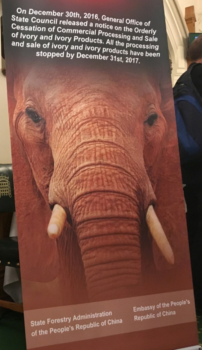 Part of the banner noting the steps taken by China to close its domestic ivory market