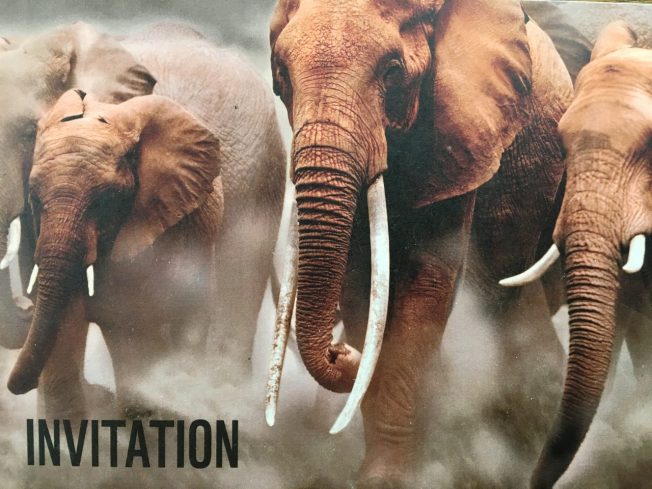 Invitation to the reception held by the Chinese Embassy in London and the WWF-UK to mark the closure of China's domestic ivory market