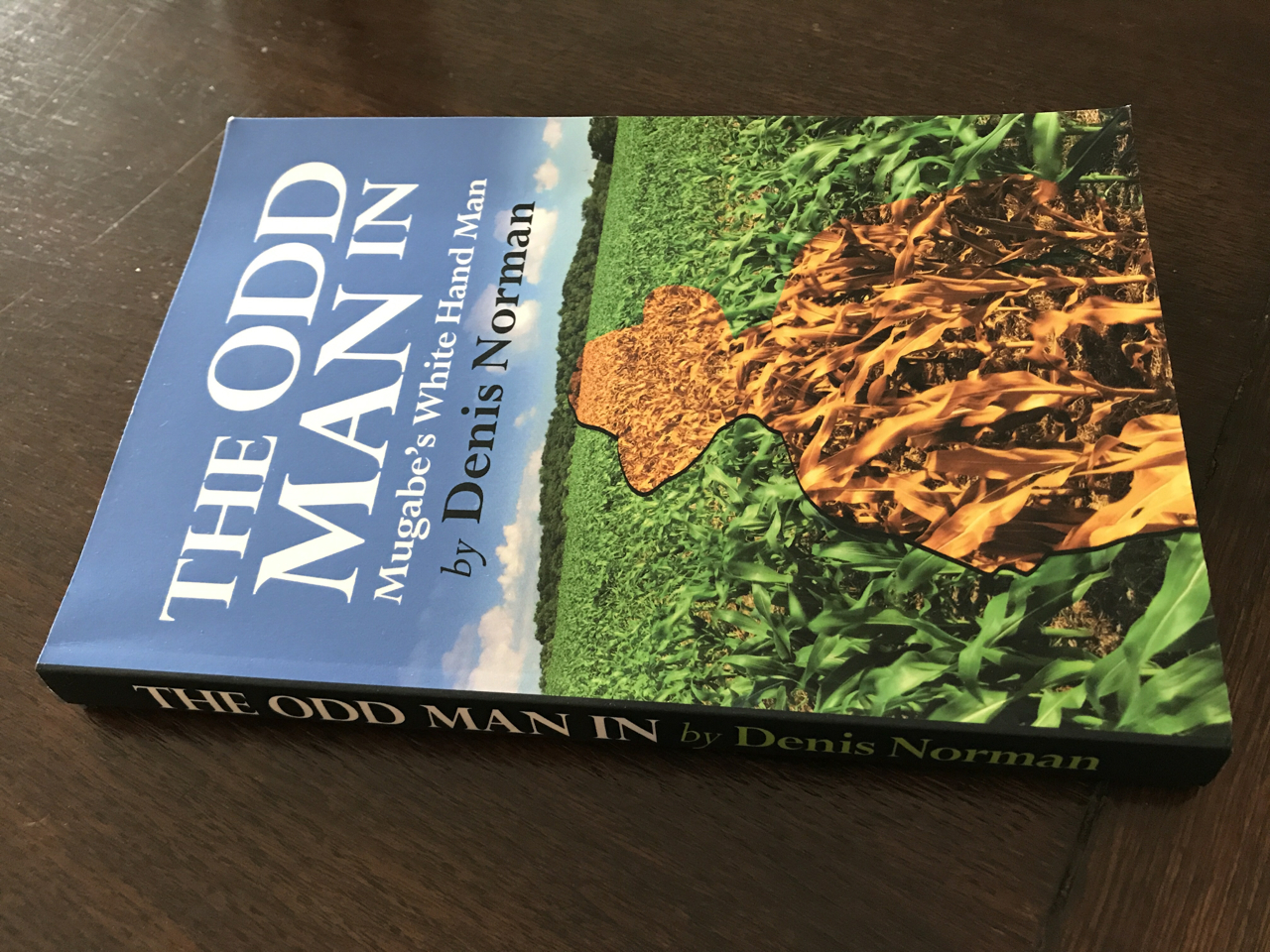 The Odd Man In by Denis Norman