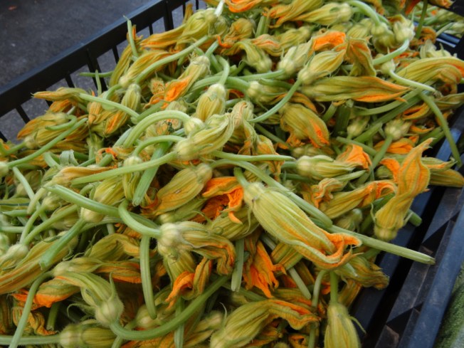 Courgette flowers in Porto Palazzo Market in Turin, Italy