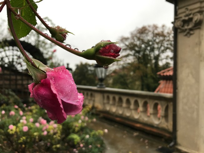 The Gardens below Prague Castle