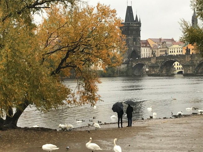 The Vltava River looking across to Charles Bridge in Prague