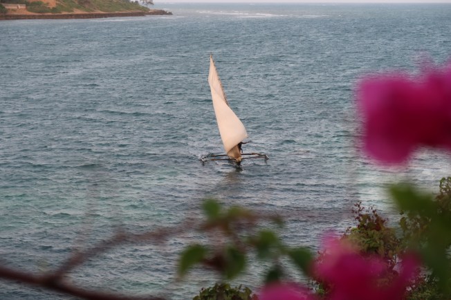 Ngalawa - bringing in the sail - Kilifi Kenya