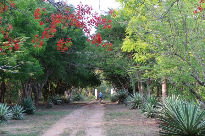 Nearly there - Kilifi