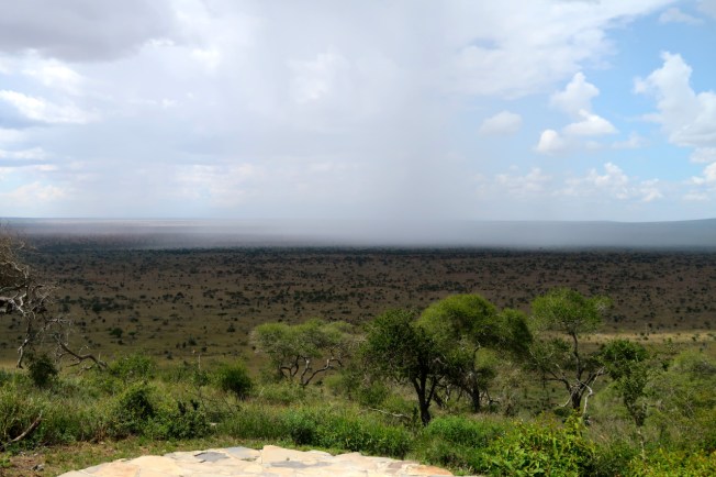 Rain - Tsavo, Kenya