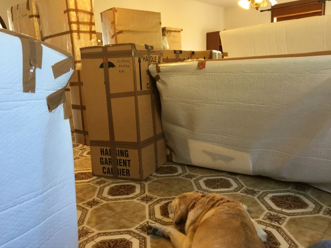 Packed up for the move