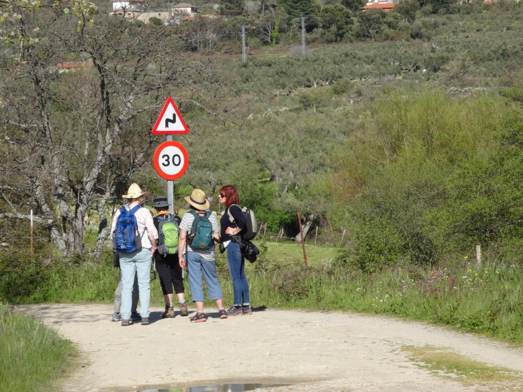 These are the ladies (school friends) who inspired me to start walking. This was in 2018. The walk was organised by a friend in Madrid - the rest of us were from UK, South Africa, France and Australia. Sadly we cannot walk together now because of Covid.